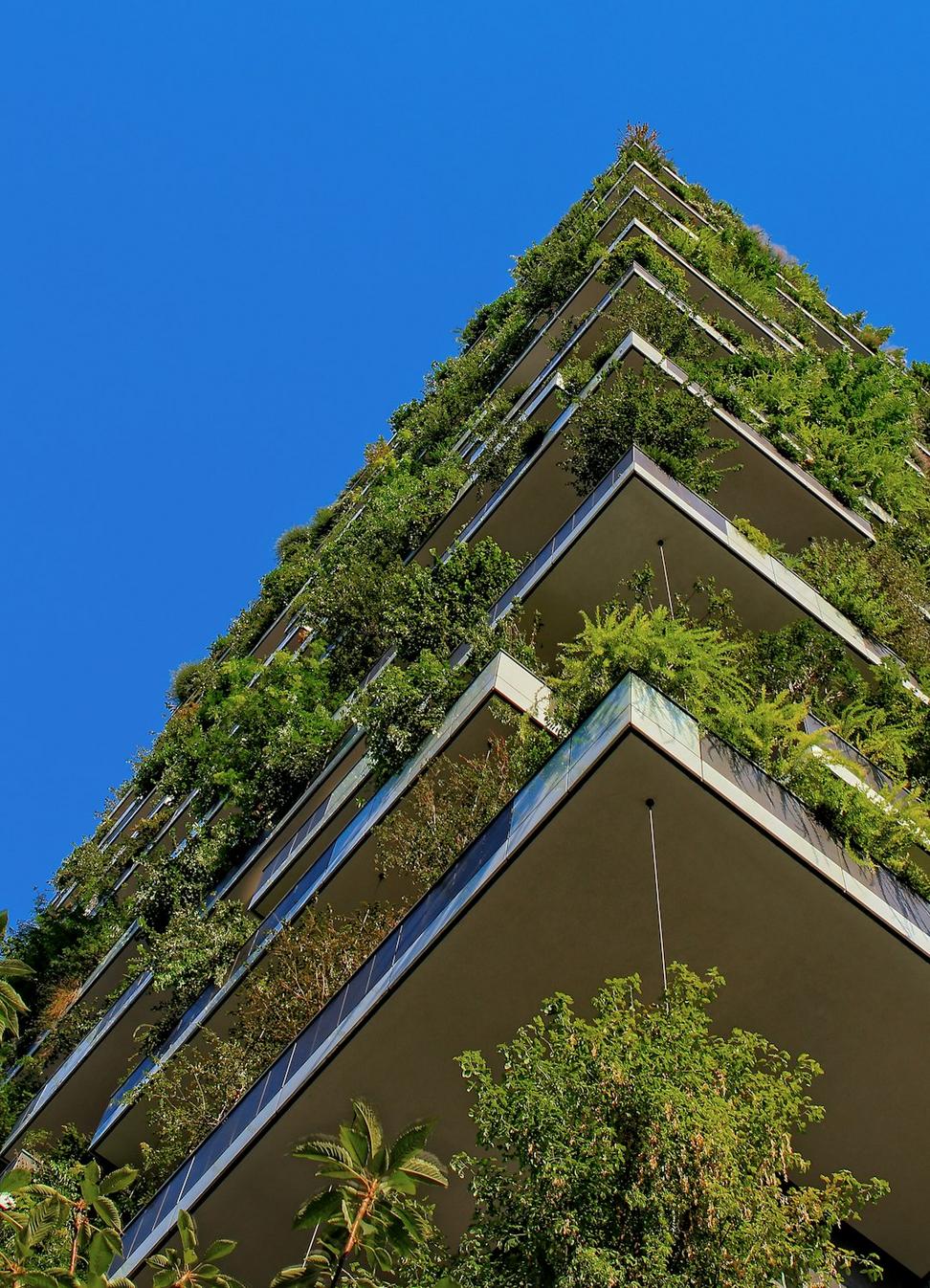 Sustainable project